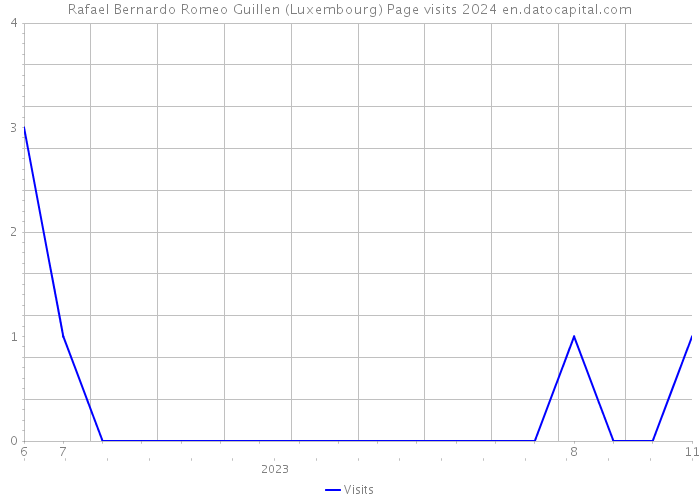 Rafael Bernardo Romeo Guillen (Luxembourg) Page visits 2024 