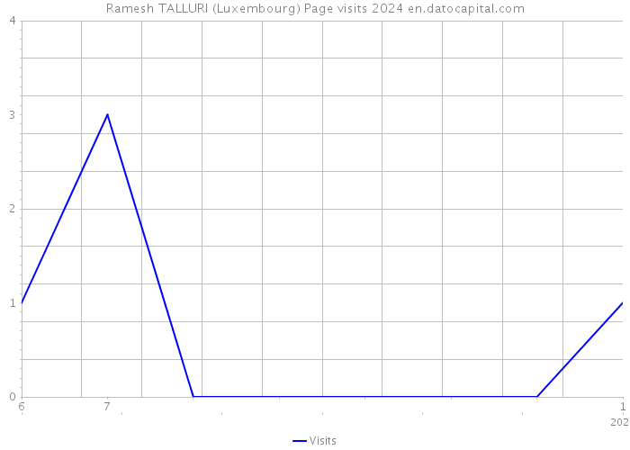 Ramesh TALLURI (Luxembourg) Page visits 2024 