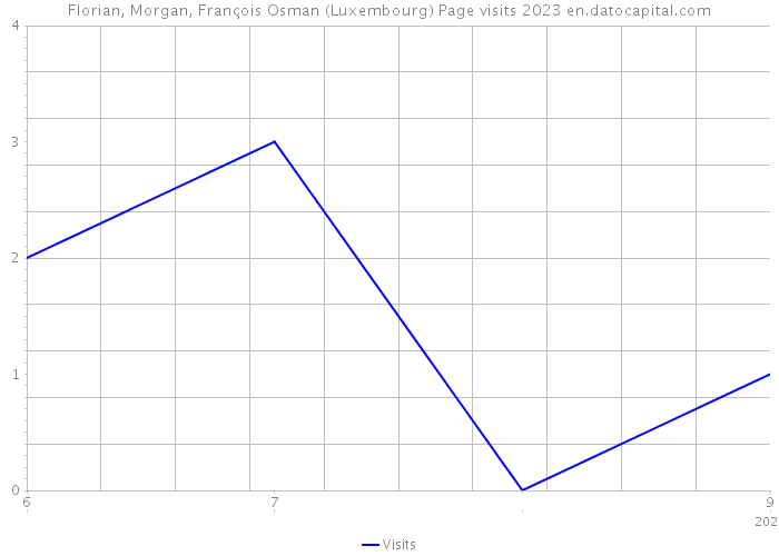 Florian, Morgan, François Osman (Luxembourg) Page visits 2023 