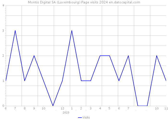 Montis Digital SA (Luxembourg) Page visits 2024 