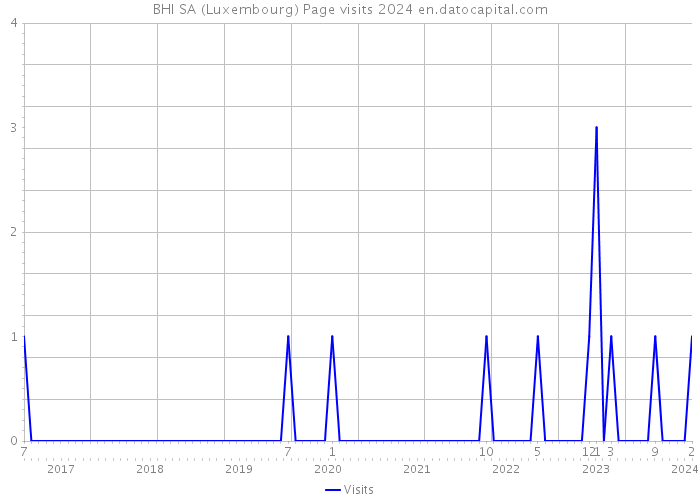 BHI SA (Luxembourg) Page visits 2024 