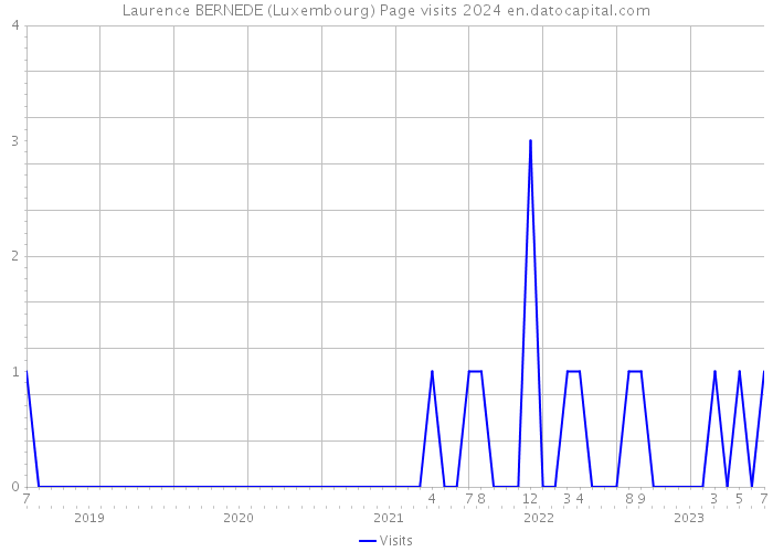 Laurence BERNEDE (Luxembourg) Page visits 2024 