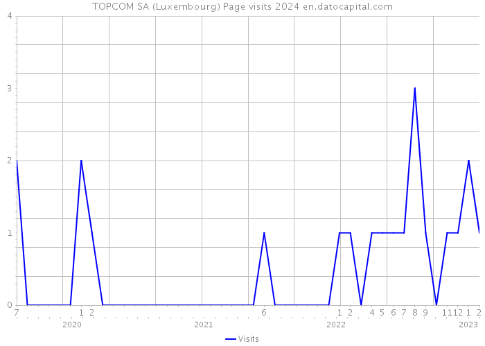 TOPCOM SA (Luxembourg) Page visits 2024 