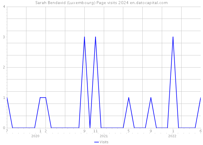 Sarah Bendavid (Luxembourg) Page visits 2024 