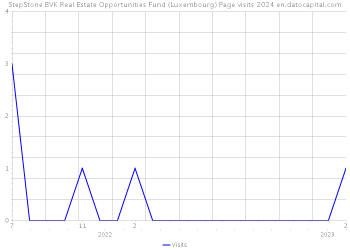 StepStone BVK Real Estate Opportunities Fund (Luxembourg) Page visits 2024 