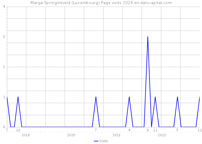 Marga Springintveld (Luxembourg) Page visits 2024 