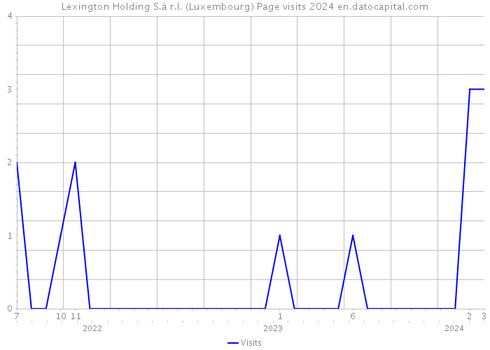 Lexington Holding S.à r.l. (Luxembourg) Page visits 2024 