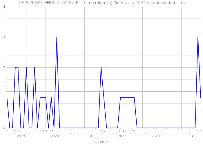 GELF GROSSLEHNA (LUX) S.A R.L. (Luxembourg) Page visits 2024 