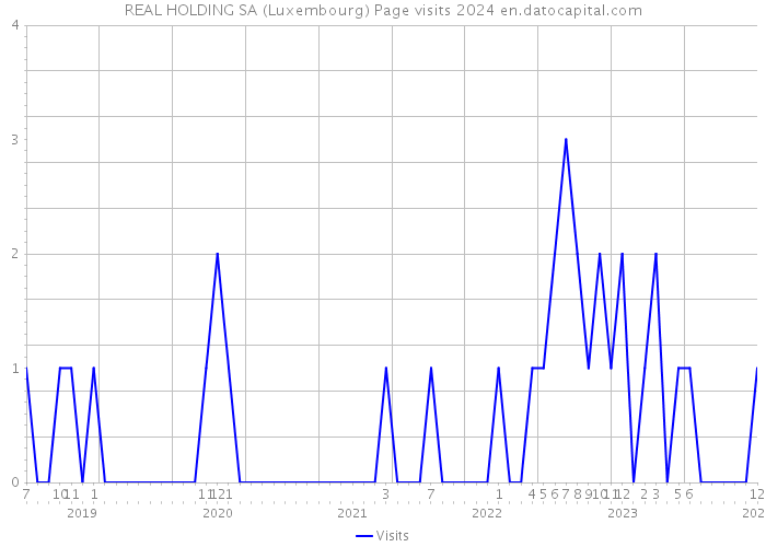 REAL HOLDING SA (Luxembourg) Page visits 2024 