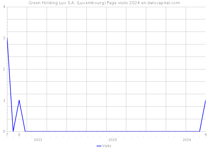 Green Holding Lux S.A. (Luxembourg) Page visits 2024 