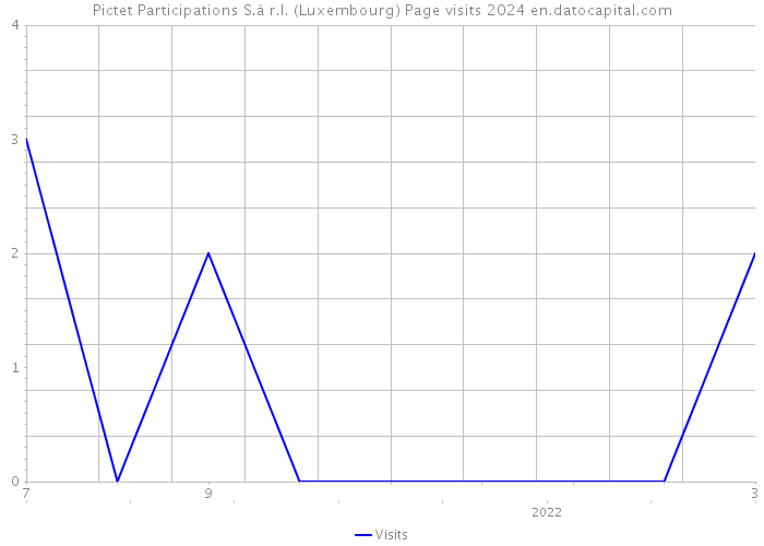 Pictet Participations S.à r.l. (Luxembourg) Page visits 2024 