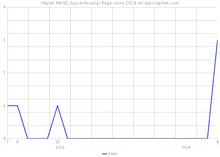Hejian HANG (Luxembourg) Page visits 2024 
