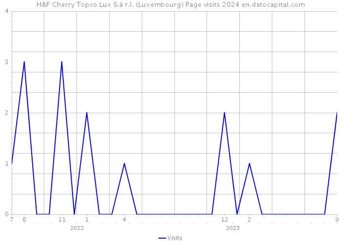 H&F Cherry Topco Lux S.à r.l. (Luxembourg) Page visits 2024 