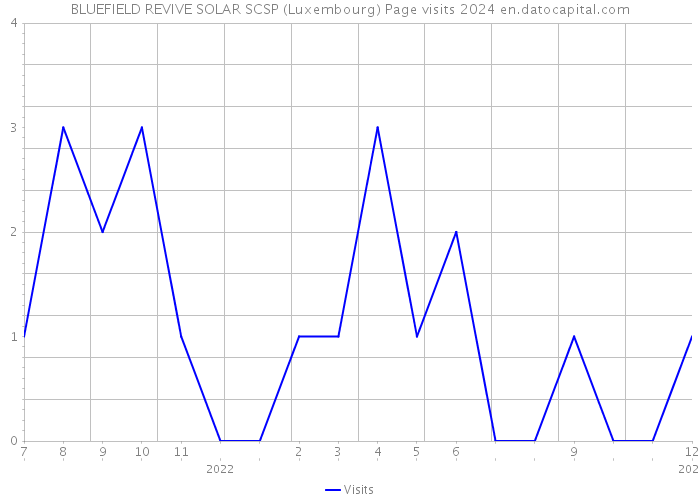 BLUEFIELD REVIVE SOLAR SCSP (Luxembourg) Page visits 2024 