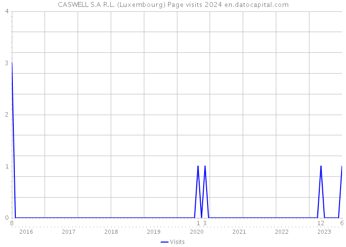 CASWELL S.A R.L. (Luxembourg) Page visits 2024 