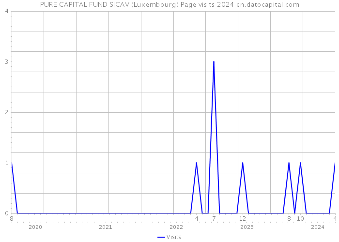 PURE CAPITAL FUND SICAV (Luxembourg) Page visits 2024 