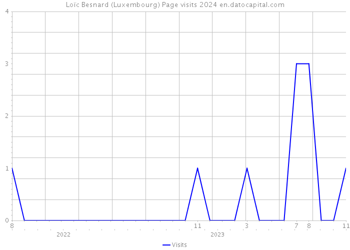 Loïc Besnard (Luxembourg) Page visits 2024 