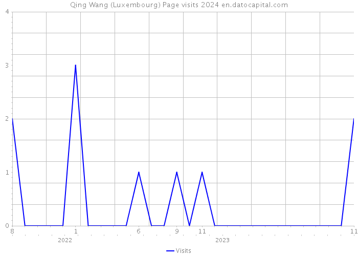 Qing Wang (Luxembourg) Page visits 2024 