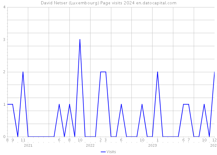 David Netser (Luxembourg) Page visits 2024 