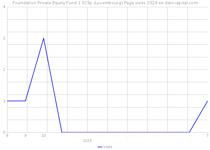 Foundation Private Equity Fund 1 SCSp (Luxembourg) Page visits 2024 