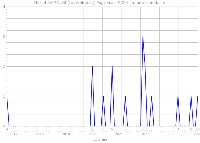 Morad AMROUNI (Luxembourg) Page visits 2024 