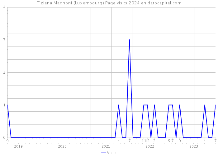 Tiziana Magnoni (Luxembourg) Page visits 2024 