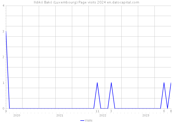 Ildikó Bakó (Luxembourg) Page visits 2024 