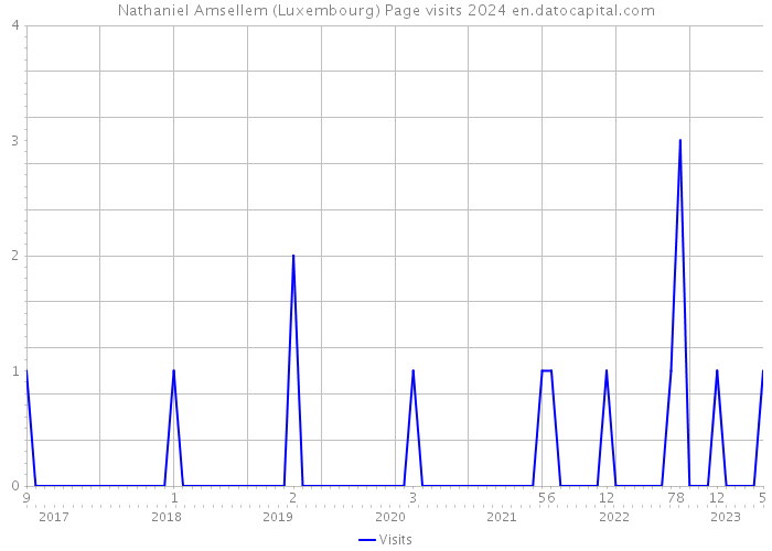 Nathaniel Amsellem (Luxembourg) Page visits 2024 
