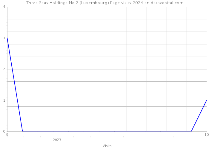 Three Seas Holdings No.2 (Luxembourg) Page visits 2024 