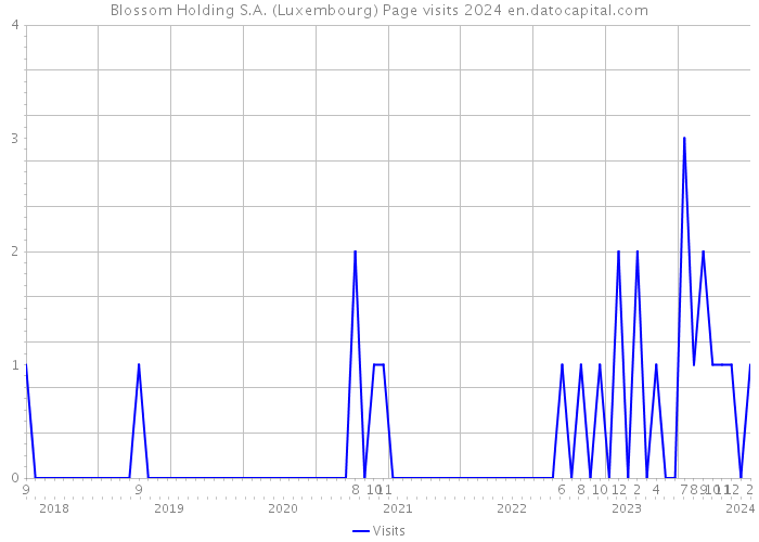 Blossom Holding S.A. (Luxembourg) Page visits 2024 