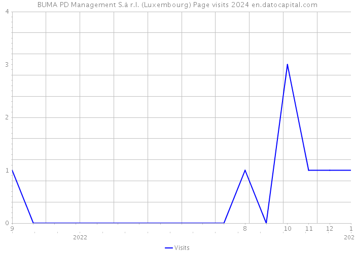 BUMA PD Management S.à r.l. (Luxembourg) Page visits 2024 