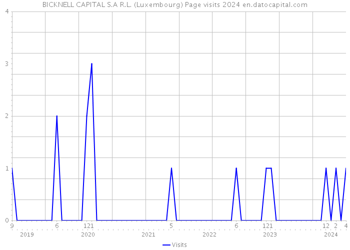 BICKNELL CAPITAL S.A R.L. (Luxembourg) Page visits 2024 