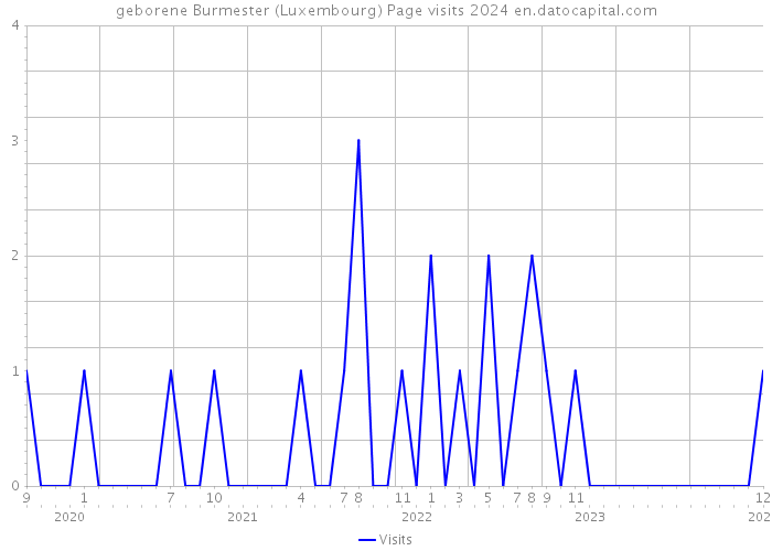 geborene Burmester (Luxembourg) Page visits 2024 