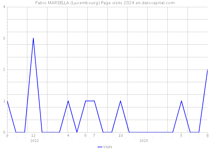 Fabio MARSELLA (Luxembourg) Page visits 2024 
