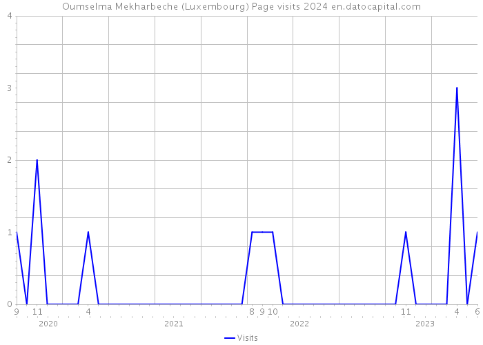 Oumselma Mekharbeche (Luxembourg) Page visits 2024 
