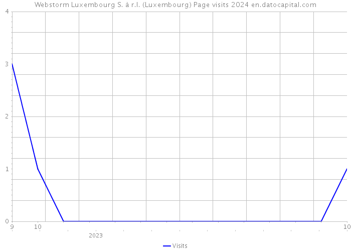Webstorm Luxembourg S. à r.l. (Luxembourg) Page visits 2024 