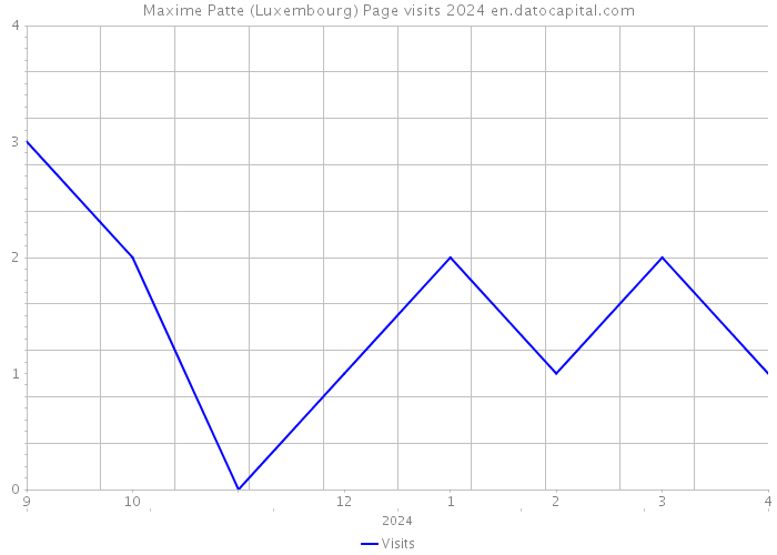 Maxime Patte (Luxembourg) Page visits 2024 