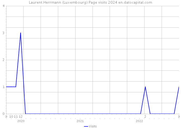 Laurent Herrmann (Luxembourg) Page visits 2024 