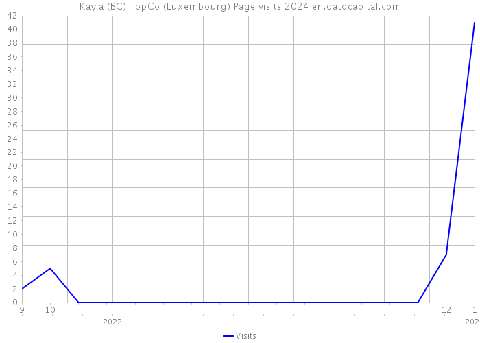 Kayla (BC) TopCo (Luxembourg) Page visits 2024 