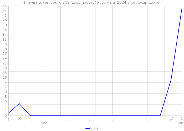 IT Invest Luxembourg SCS (Luxembourg) Page visits 2024 