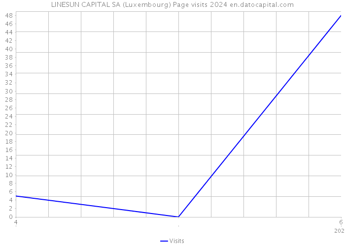 LINESUN CAPITAL SA (Luxembourg) Page visits 2024 