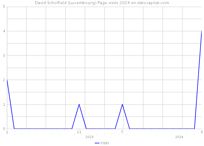 David Scholfield (Luxembourg) Page visits 2024 