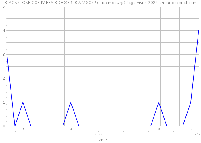 BLACKSTONE COF IV EEA BLOCKER-3 AIV SCSP (Luxembourg) Page visits 2024 