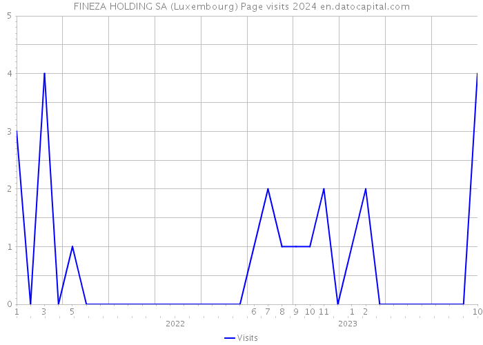 FINEZA HOLDING SA (Luxembourg) Page visits 2024 