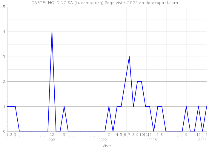 CASTEL HOLDING SA (Luxembourg) Page visits 2024 