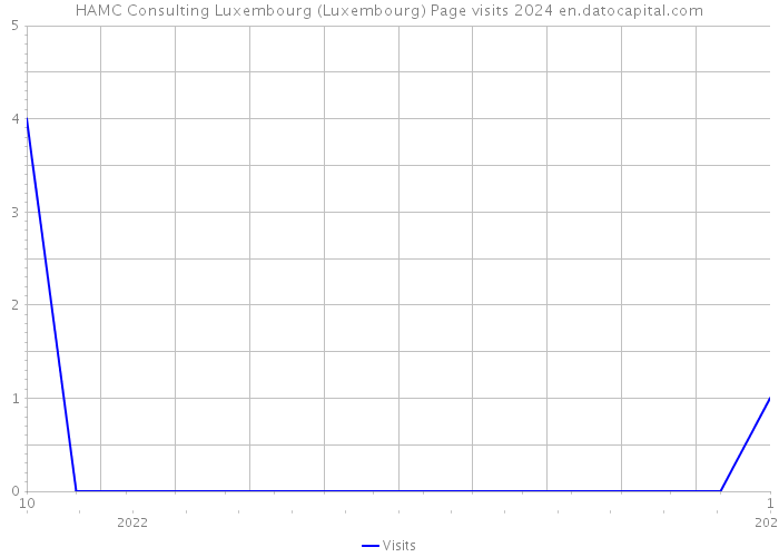 HAMC Consulting Luxembourg (Luxembourg) Page visits 2024 