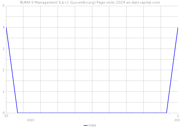 BUMA II Management S.à r.l. (Luxembourg) Page visits 2024 
