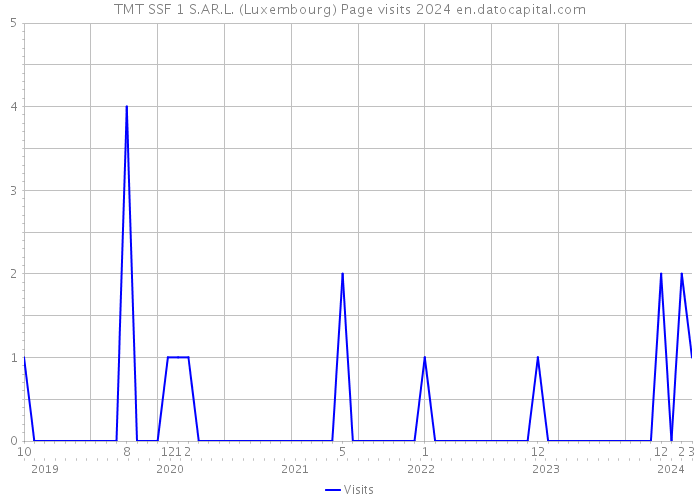 TMT SSF 1 S.AR.L. (Luxembourg) Page visits 2024 