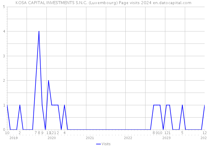 KOSA CAPITAL INVESTMENTS S.N.C. (Luxembourg) Page visits 2024 