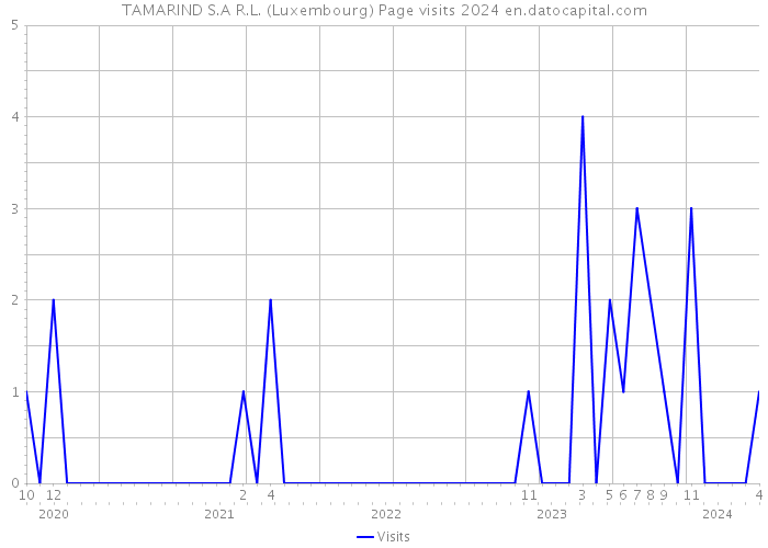 TAMARIND S.A R.L. (Luxembourg) Page visits 2024 